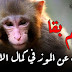 علاقة الموز ببناء العضلات { نظره علميه علي الموز ,فوائد,مكوناته,جرعته } علاقة الموز ببناء العضلات { نظره علميه علي الموز ,فوائد,مكوناته,جرعته }