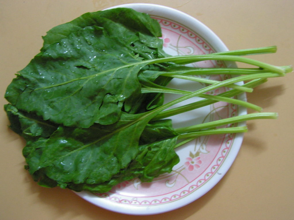 Aysha's Kitchenette: Palak Chicken (Spinach Chicken)