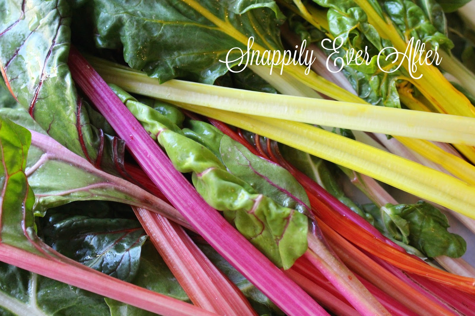 storing swiss chard