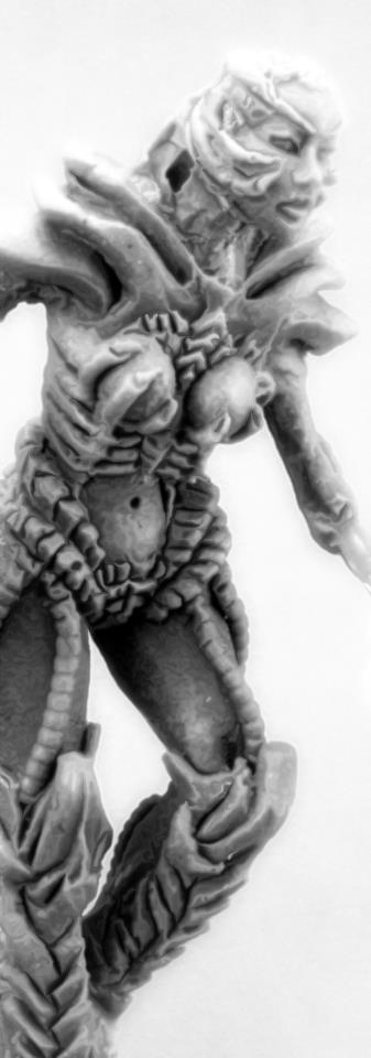 Click to see full-sized image Image