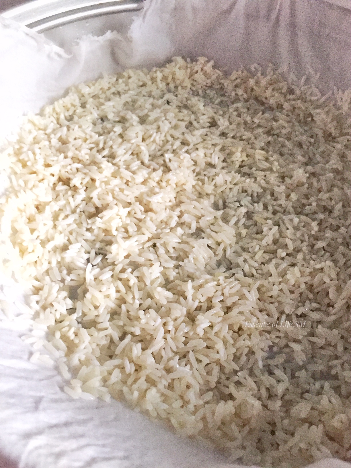 HOW TO COOK STICKY RICE/GLUTINOUS RICE