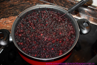  Mermelada de moras silvestres
