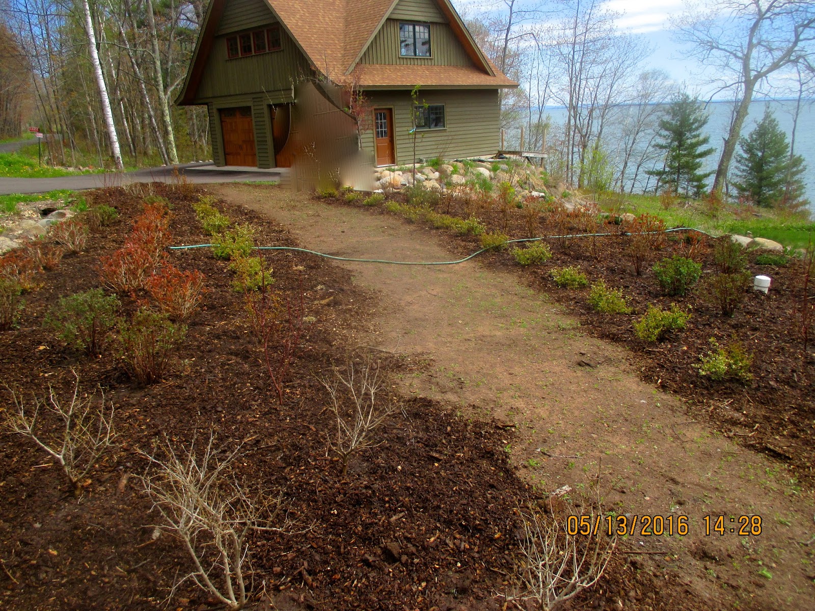 Art's Bayfield Almanac PLANTING JOB COMPLETED