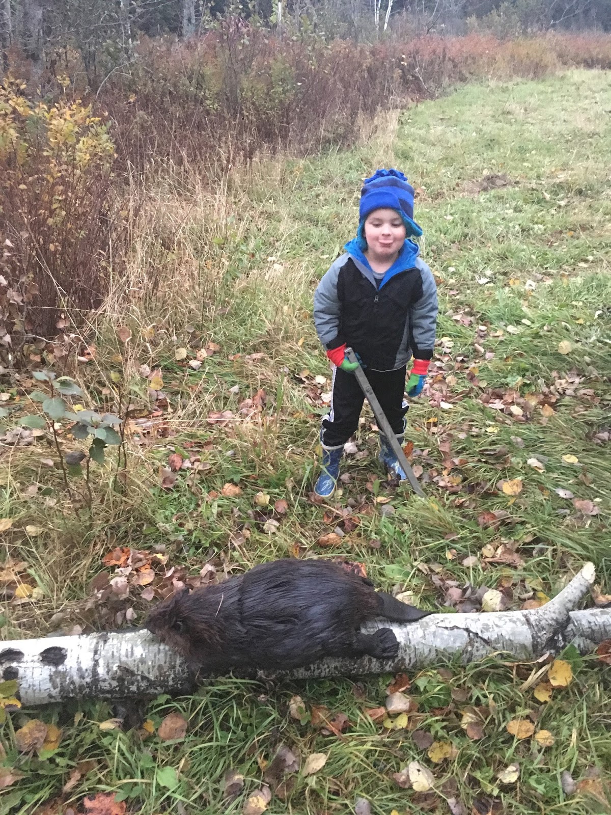 Northern Maine Ridge Runners and River Rats Beaver Trapping...A First