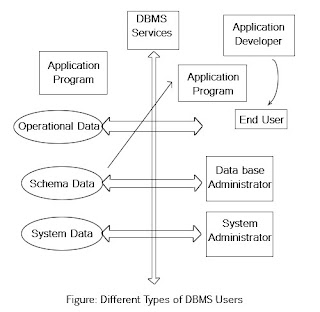 Different Types of DBMS users