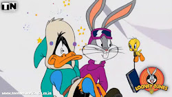 tweety flying adventure tunes looney hindi bird cartoon twitty cat cartoons holly wood tweetys animated warner