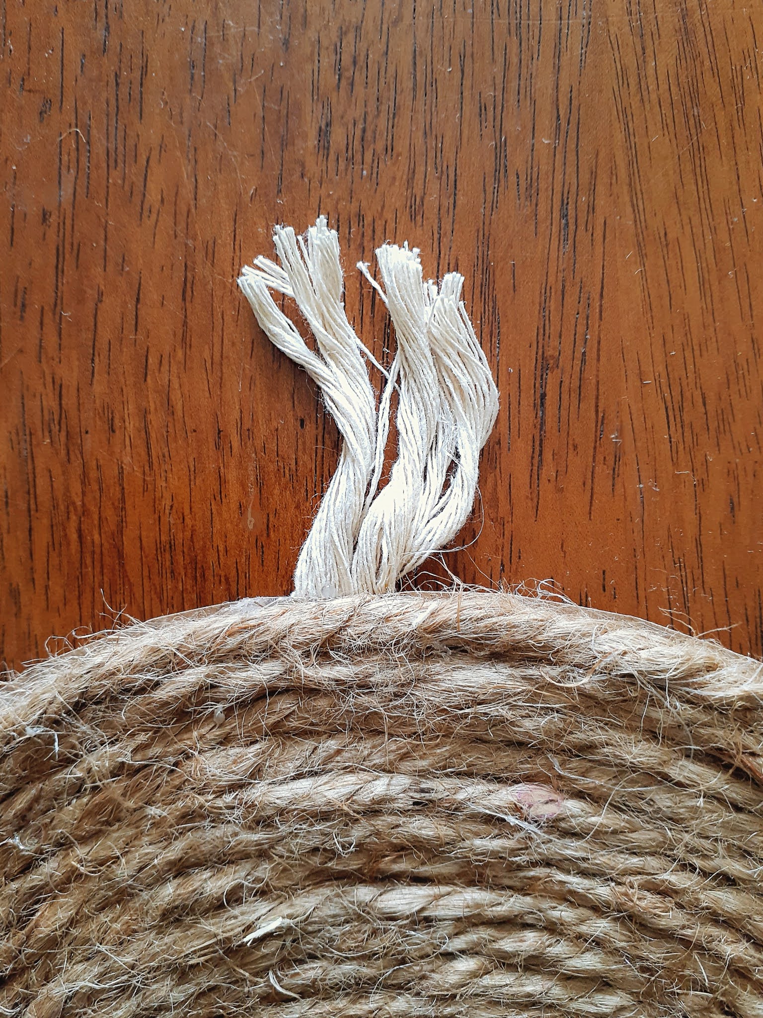 DIY ROPE PLACEMATS WITH FRINGE Opal Crown