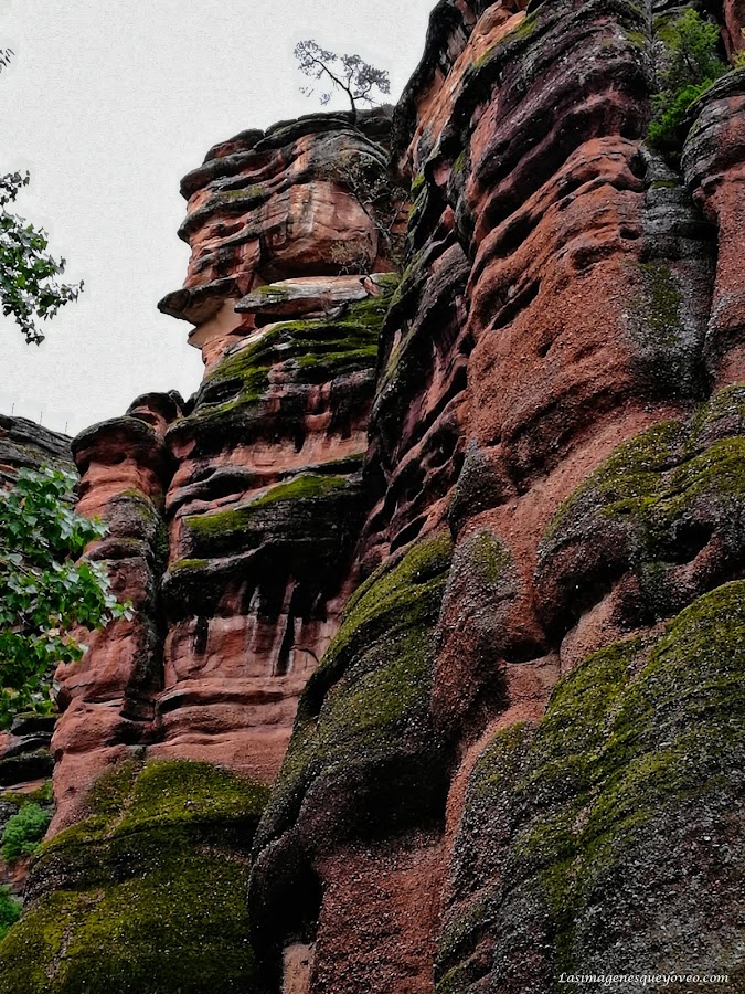 Parque Natural del Alto Tajo
