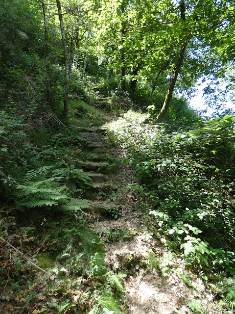 Exemple d'un des nombreux hauts (ou bas, cela dépend dans quel sens on marche)