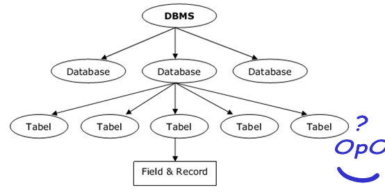 Hierarki Databases