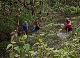 অ্যলগি পূর্ণ জলাশয় মাছ ধরা হচ্ছে