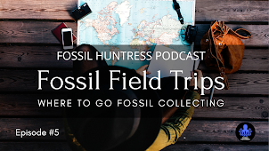 WHERE TO GO FOSSIL HUNTING / EPISODE #5