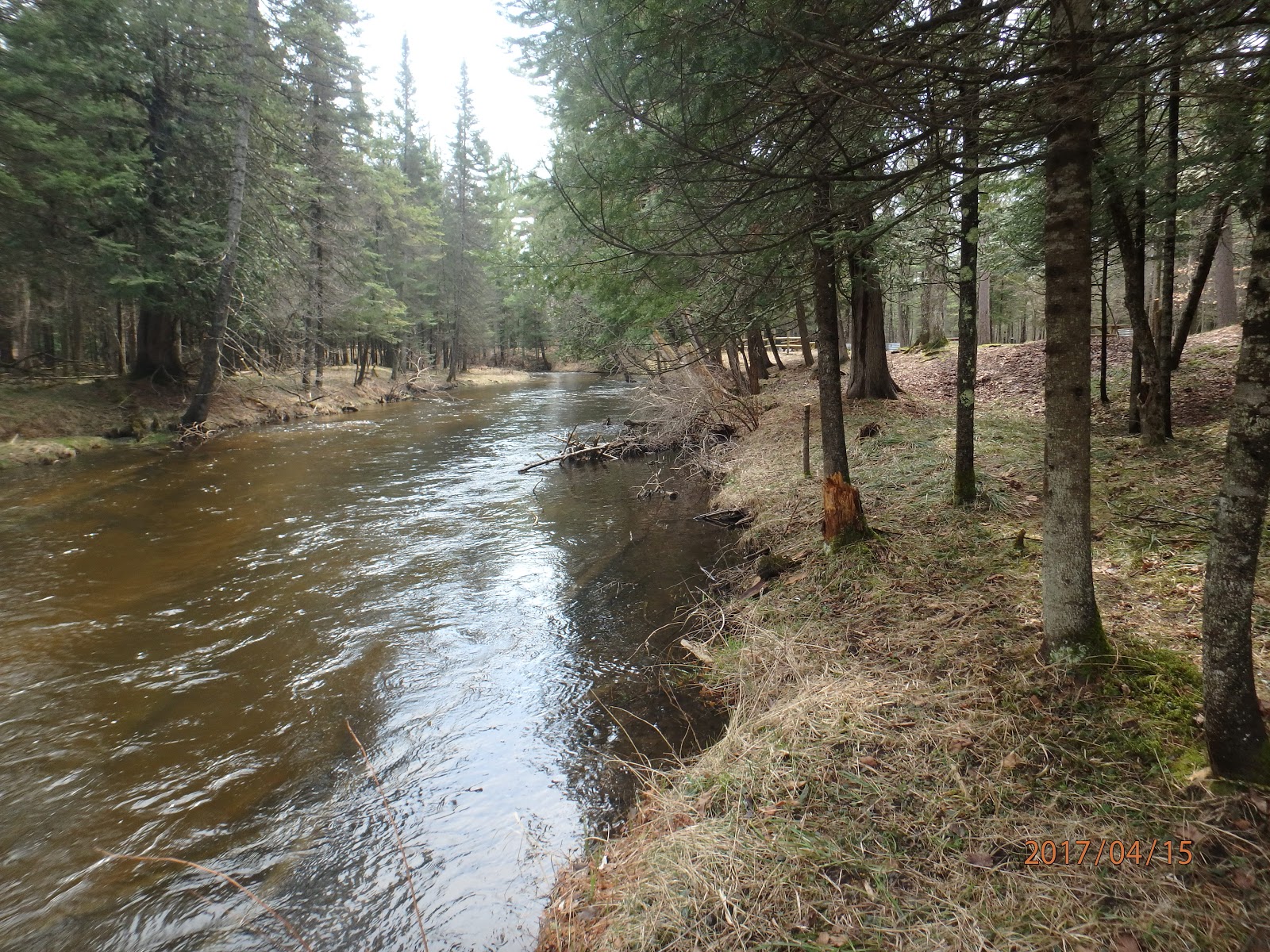 Amber Liquid Anglers and Sportsmen Boardman River, Forks Campground