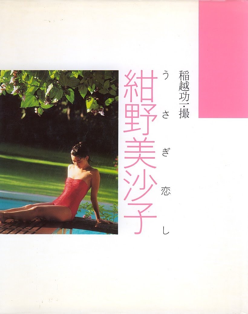 紺野美沙子 うさぎ恋し 超レア プレミアム写真集