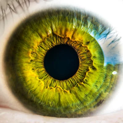 أجزاء العين, الأحياء, العين, بحث حول العين, تركيب العين, تركيبة العين, تشريح العين, مكونات العين,