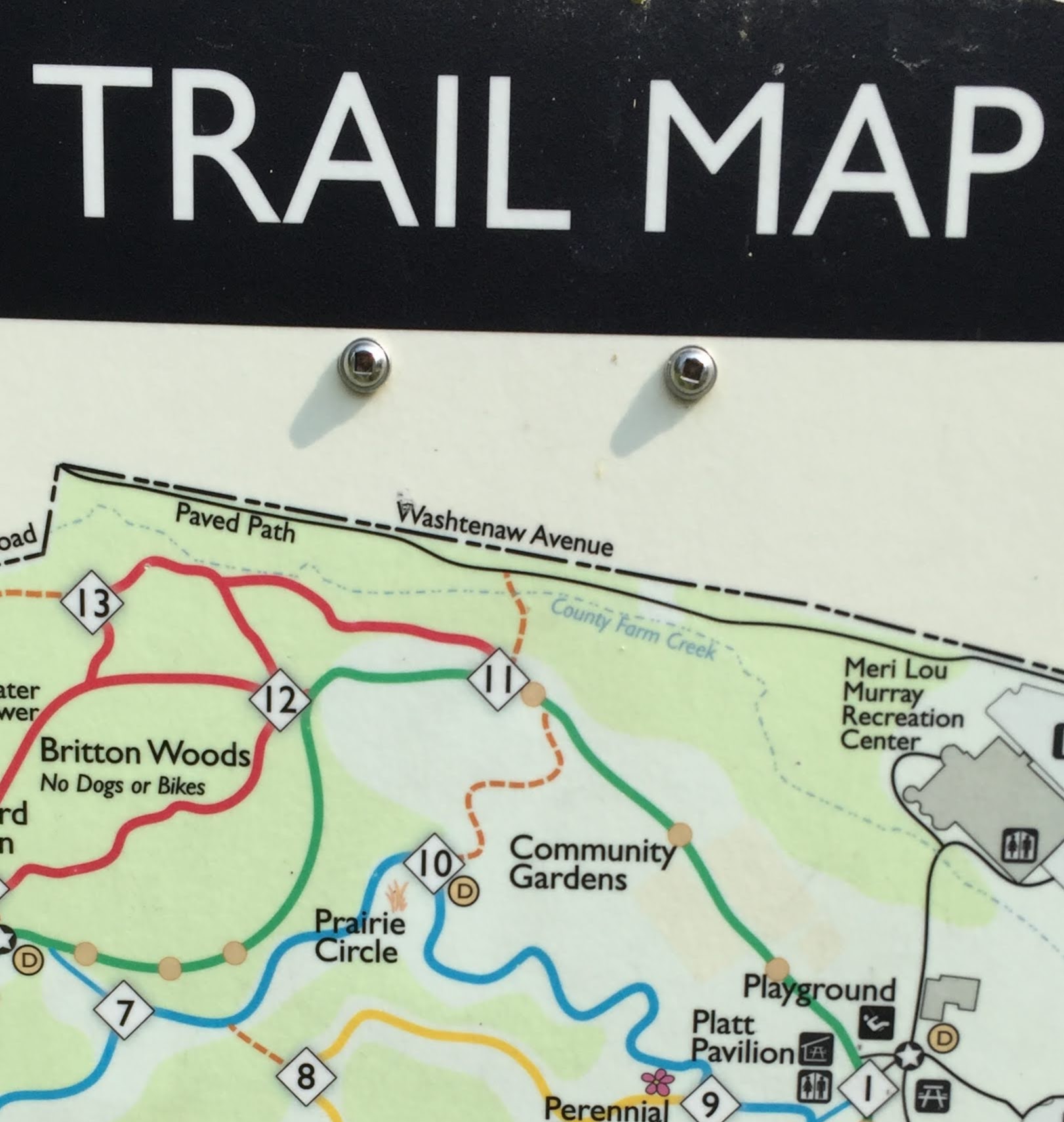 Princeton Nature Notes My First Public Plantinga Prairie Circle in