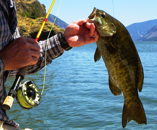 Using leader for bass fishing? Headwaters Lake Bass Fishing Report
