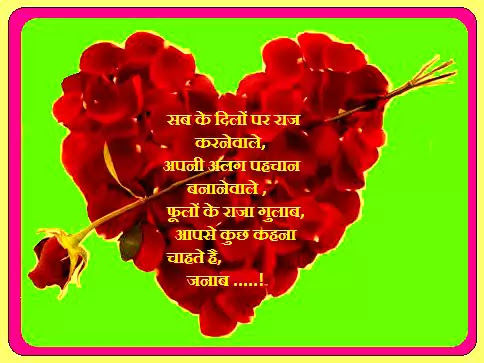 à¤« à¤² à¤ à¤° à¤ à¤ à¤² à¤¬ king of flowers roses à¤¸à¤­ à¤ à¤¨à¤ à¤° à¤¹ à¤¦ à¤® à¤« à¤² à¤ à¤° à¤ à¤ à¤² à¤¬ king of flowers roses à¤¸à¤­ à¤ à¤¨à¤ à¤° à¤¹ à¤¦ à¤®