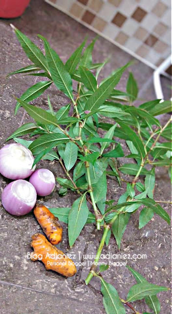 Menu Makan Malam | Petik  Daun Kesum Tepi Laman