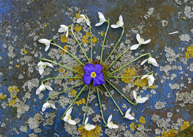 Schalsteine Verputzen Alte Steinplatten