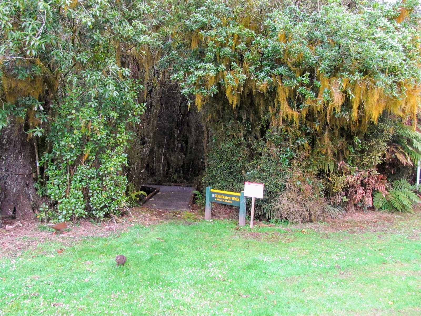 Tramping in the New Zealand backcountry NZ Bush Adventures Hokitika