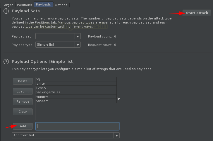 Burp Suite Fuzzing with Intruder