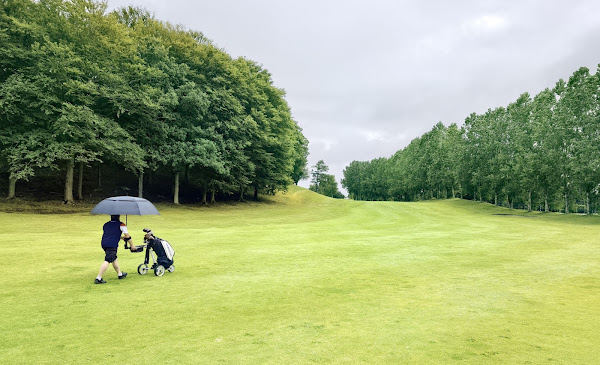 What today golfers call the fairway was originally called the fair green