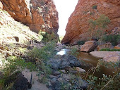 Scenery and Animals of Australia