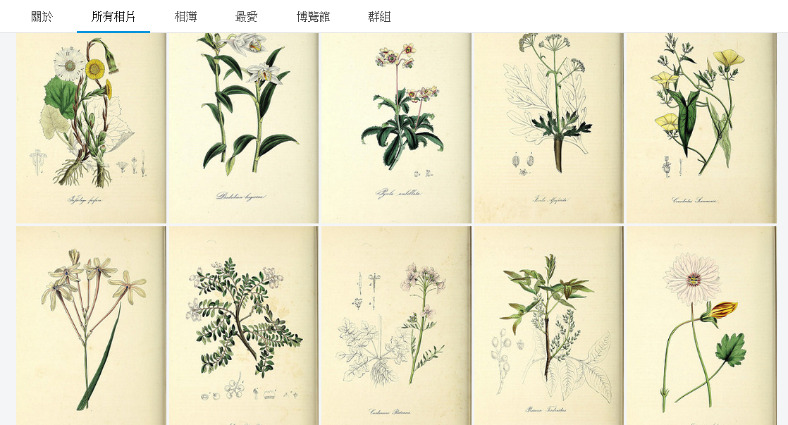 十多萬張精美博物學手繪插圖 自然歷史老師免費使用圖鑑圖片