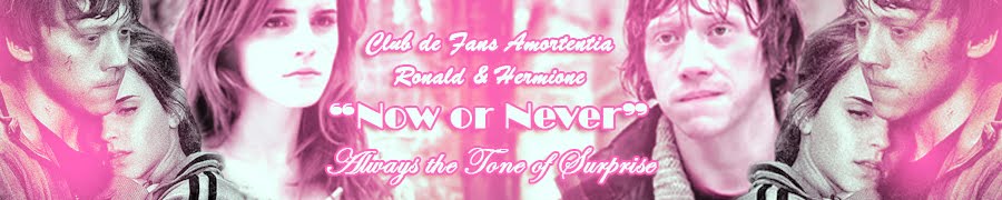 Club de Fans Amortentia "Now Or Never" "Always the tone of Surprise"