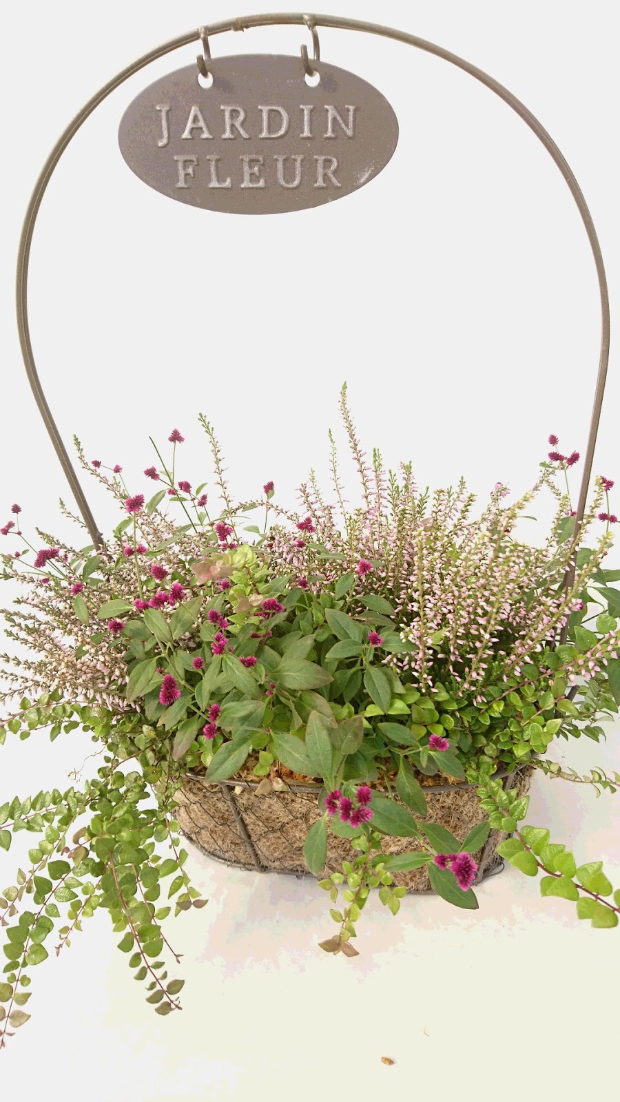 オープンガーデンみやぎ ハンギングマスター菊池先生の 秋の草花を使った寄せ植え ハンギングバスケット 講座