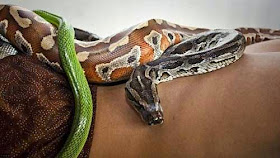 شاهدوا بالصور اغرب أنواع المساج والتدليك في العالم