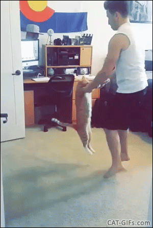 Funny Cat GIF • Party Hard! Crazy Cat lover dancing with his cat they are so funny together, haha Funny Cat GIF • Party Hard! Crazy Cat lover dancing with his cat they are so funny together, haha