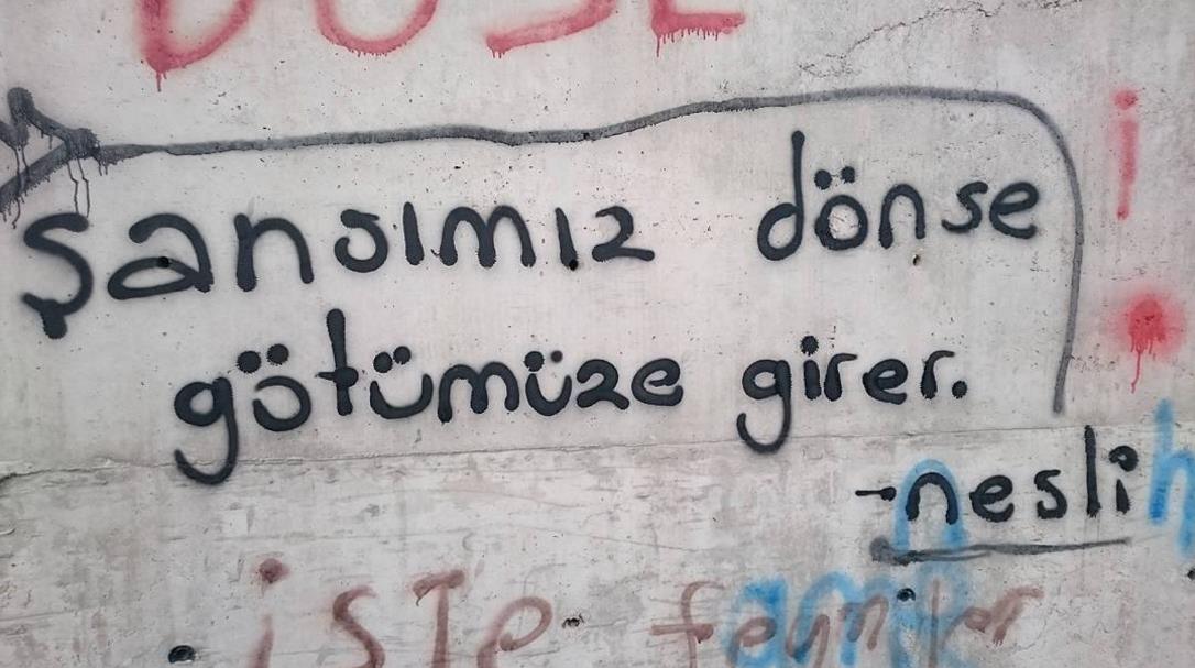 Resimli Küfürlü Sözler Duvar Yazilari Küfür Sokakta 2018 GamTeli