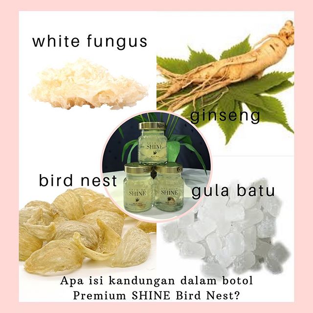 Kebaikan Dan Manfaat Premium Shine Bird's Nest