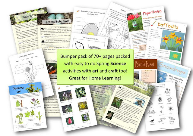 Lilibette's Resources: Spring Science Activities for Home Learning
