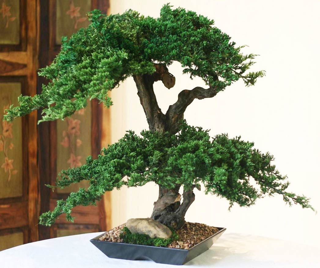 How To Make Artificial Bonsai Trees