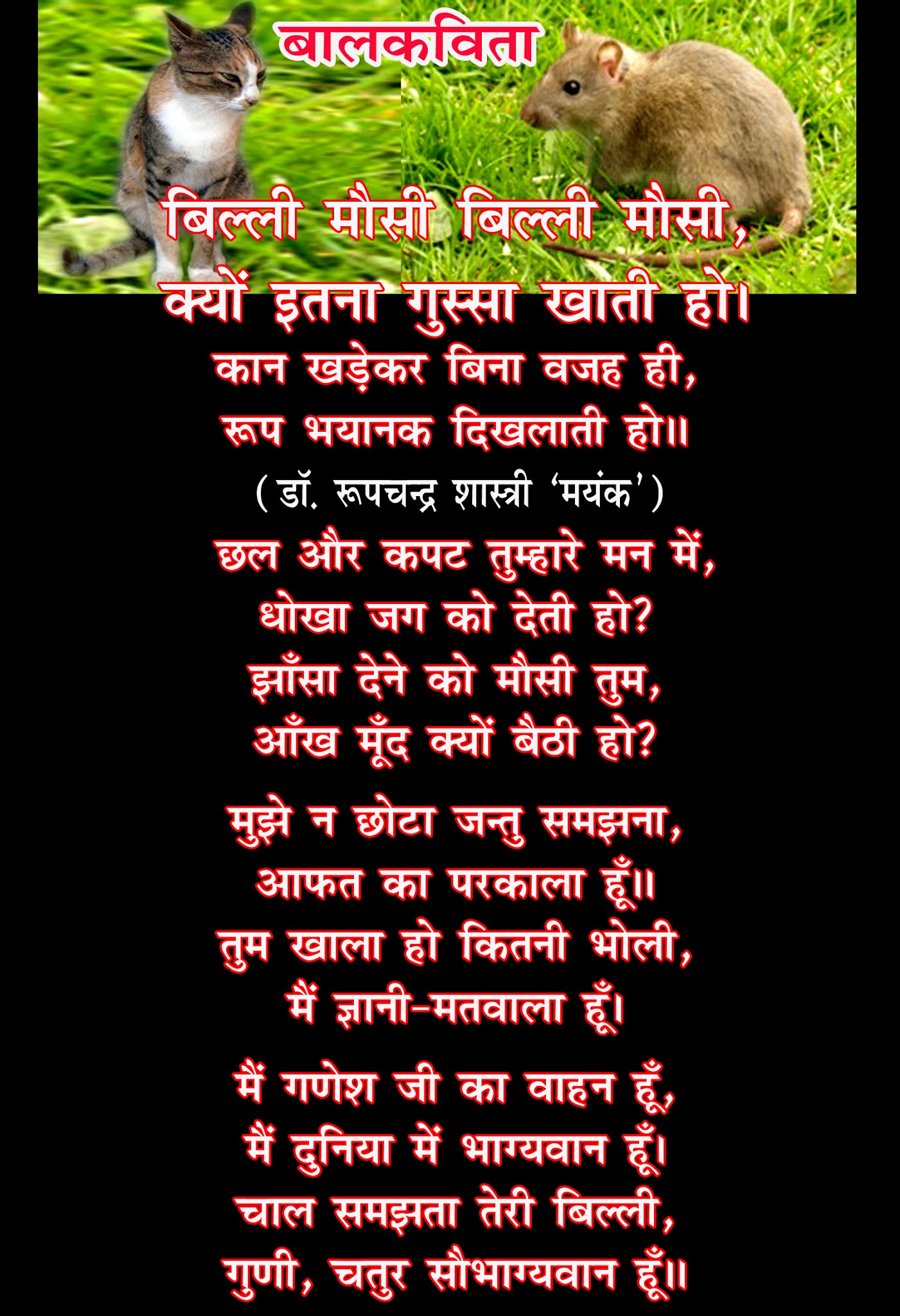 Mausi billi mausi kaho 2025 kahan se aayi ho