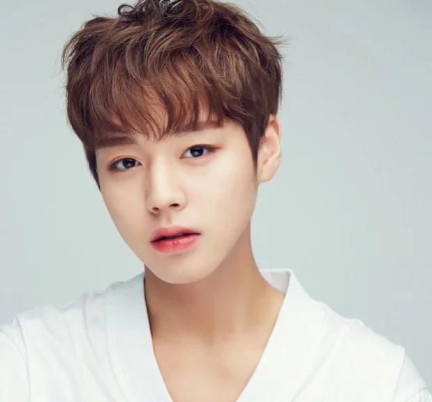 Biodata Park JiHoon Wanna One, Profile Lengkap, 1001 Fakta dan Foto