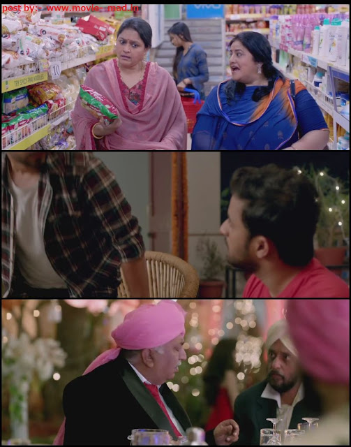 Jai Mummy Di (2020) WEB-DL 720p Full Hindi Movie Download in HD