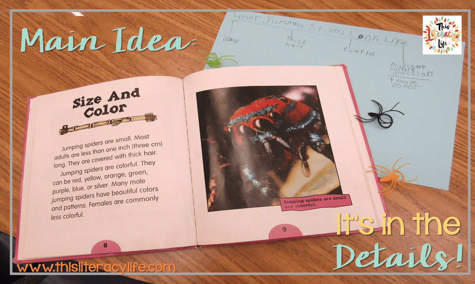 Main Idea: It's All in the Details | This Literacy Life