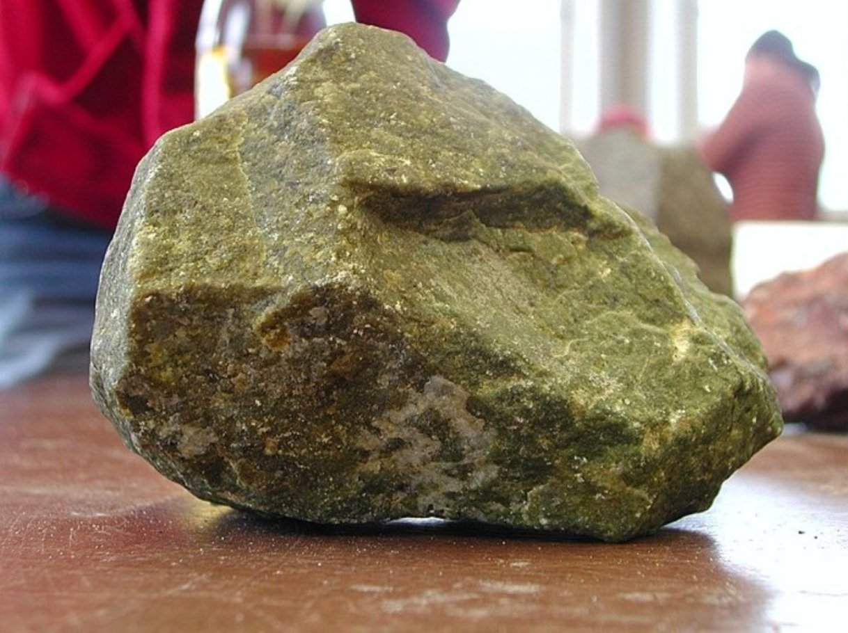 Bizarre Lifeforms Found Thriving in Ancient Rocks Beneath the Seafloor