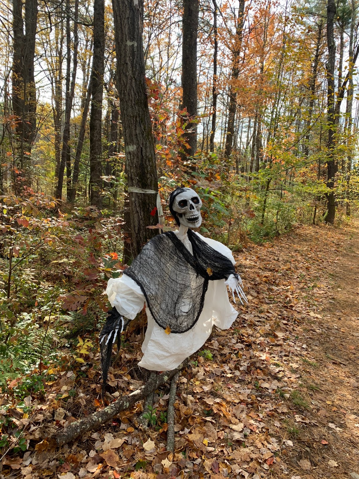 fill me with meaning Ghost Train Trail Race