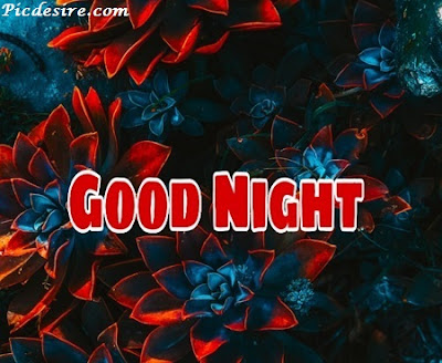 Top 101 Good Night Images || Best Good Night Images Top 101 Good Night Images || Best Good Night Images