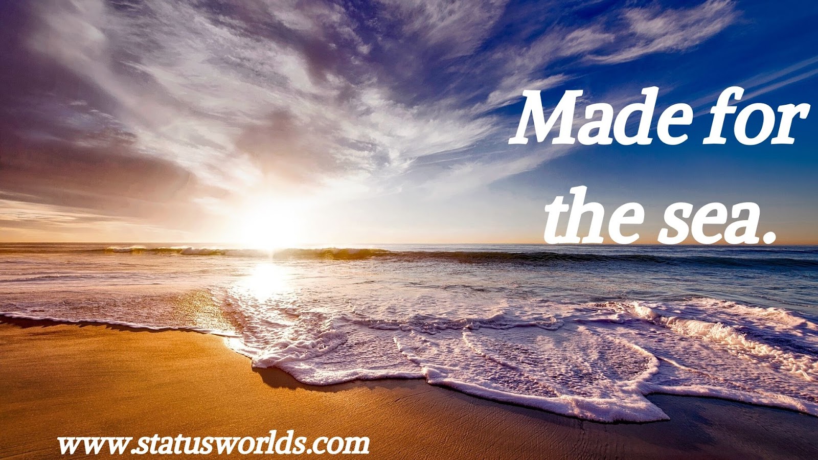 233+ Summer Status, Caption & Quotes For A Summer Lover Status World