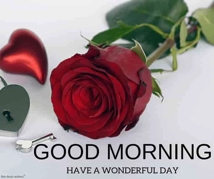 have a wonderful day