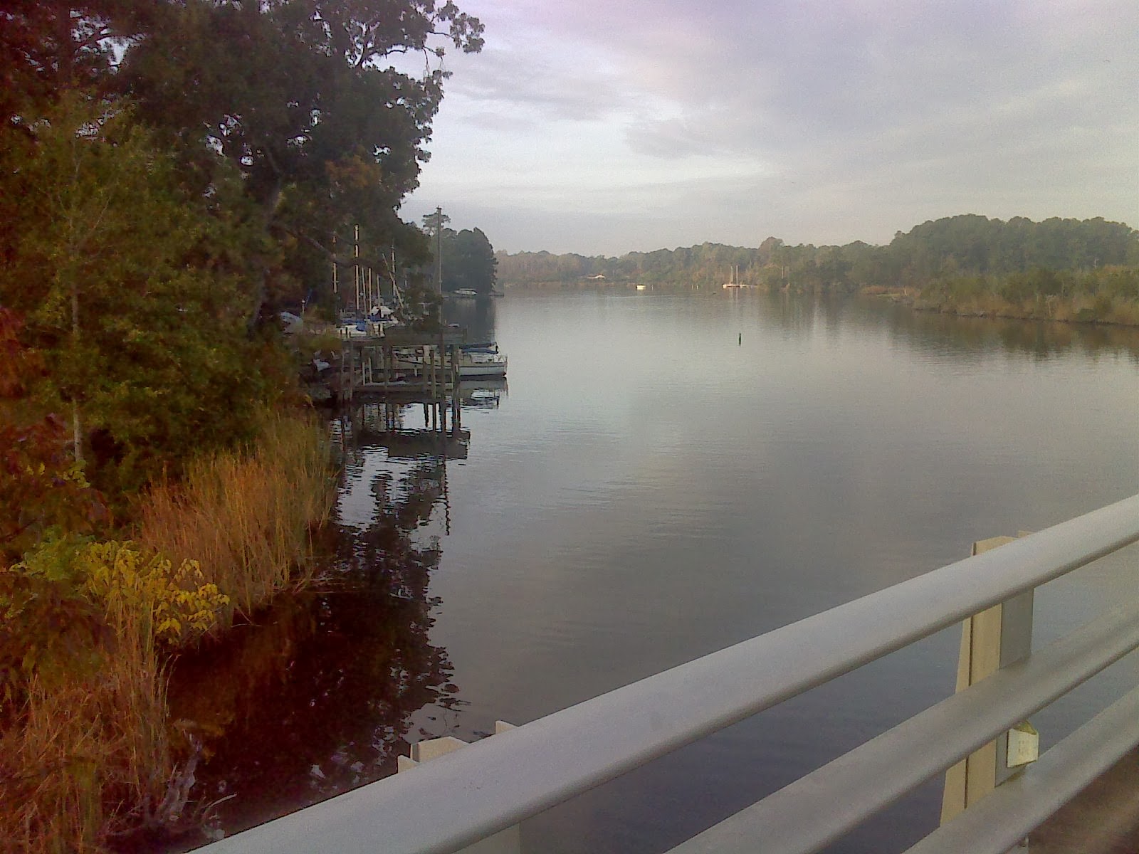 Heart and Sole Hiking/biking Jacksonville NC's RailstoTrails Greenway