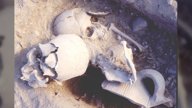 Κοντινή λήψη της παιδικής ταφής μαζί με το κρανίο του πολεμιστή.