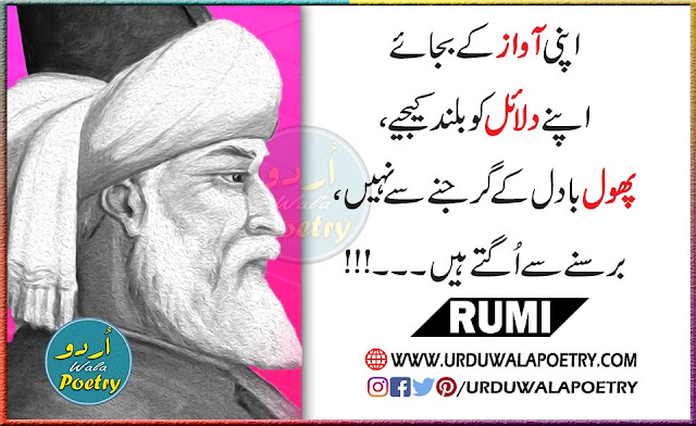 Rumi Quotes on Voice & Arguments, Flowers Quotes in Urdu & English