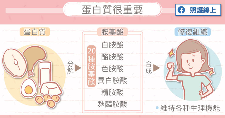癌症治療前、中、後,都需要攝取充足的優質蛋白